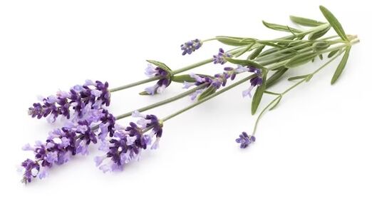 Brand Fungent Rand contains lavender oil