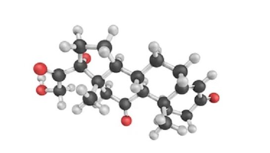 FUNDENT RAND brand contains hydrocortisone