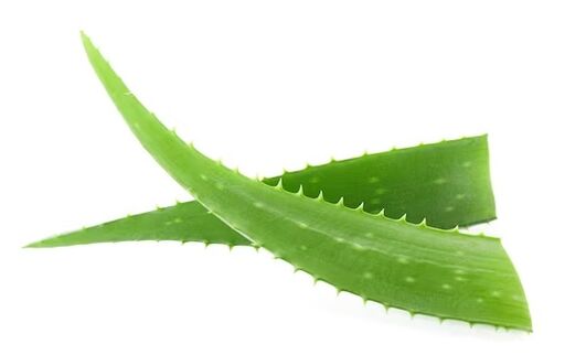 brand fungent rand contains aloe vera